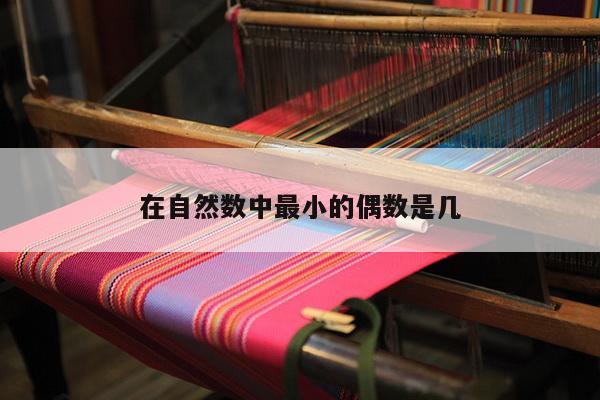 在自然数中最小的偶数是几