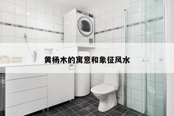黄杨木的寓意和象征风水