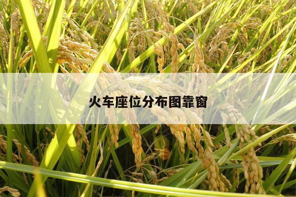 火车座位分布图靠窗