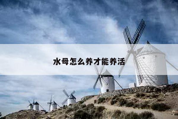 水母怎么养才能养活