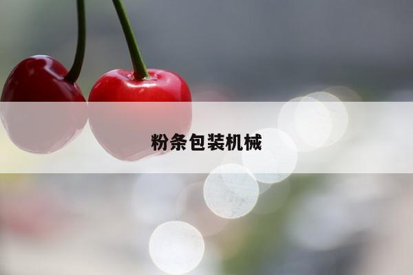 粉条包装机械