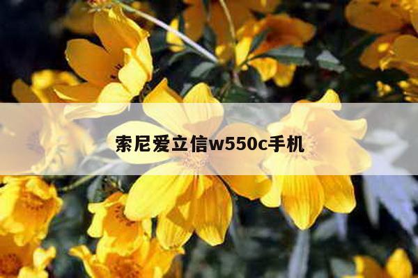 索尼爱立信w550c手机