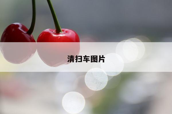 清扫车图片
