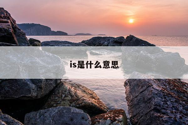 is是什么意思