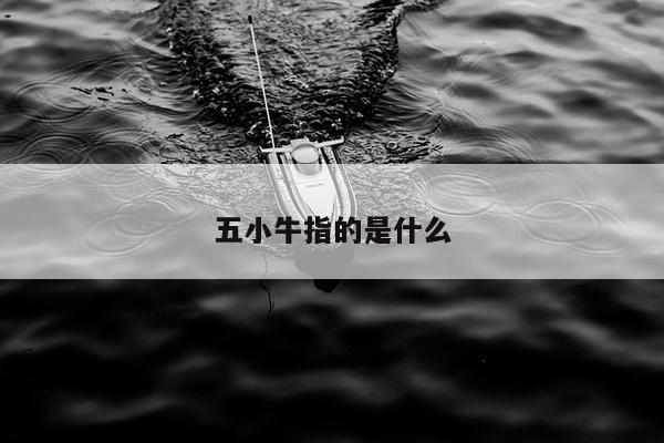 五小牛指的是什么