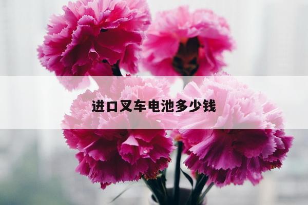 进口叉车电池多少钱