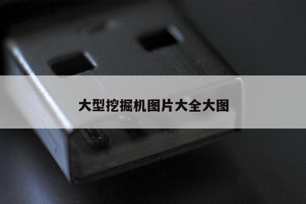 大型挖掘机图片大全大图