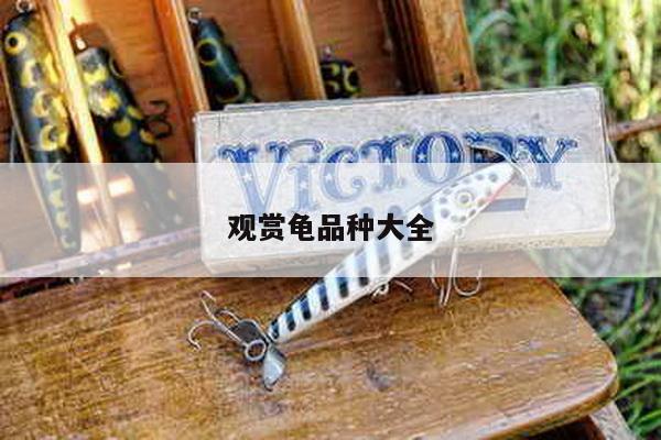 观赏龟品种大全