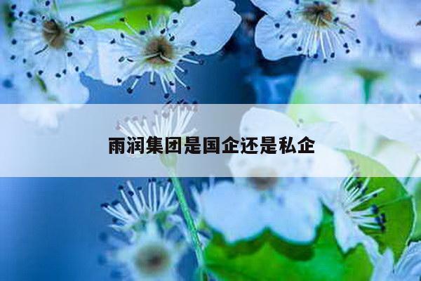 雨润集团是国企还是私企