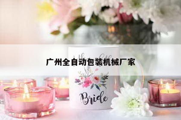 广州全自动包装机械厂家