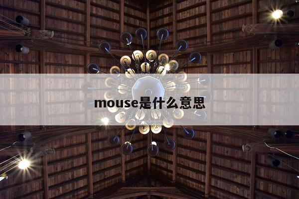 mouse是什么意思
