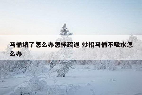 马桶堵了怎么办怎样疏通 妙招马桶不吸水怎么办