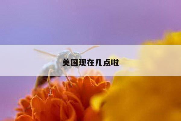 美国现在几点啦