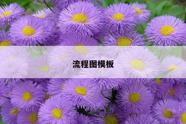 流程图模板