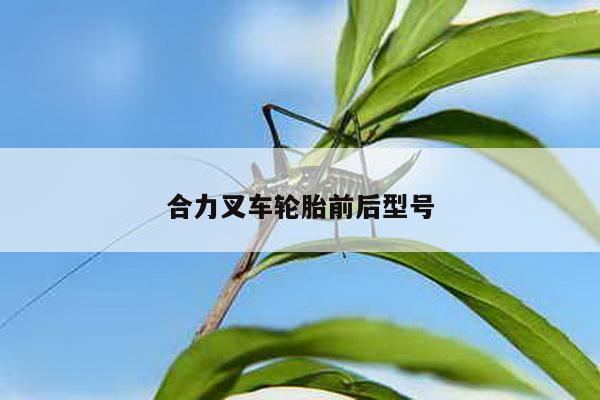合力叉车轮胎前后型号