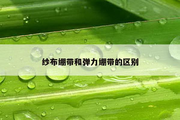 纱布绷带和弹力绷带的区别