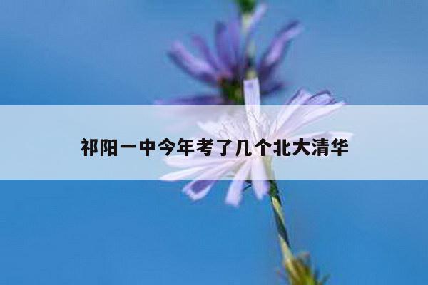 祁阳一中今年考了几个北大清华