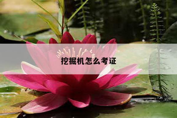 挖掘机怎么考证