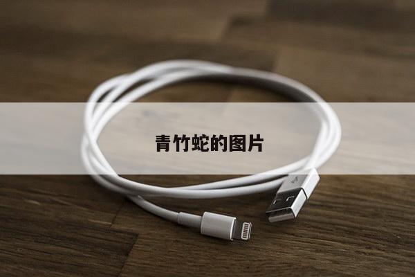 青竹蛇的图片