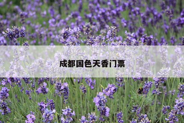 成都国色天香门票