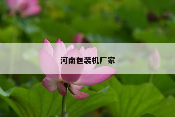 河南包装机厂家