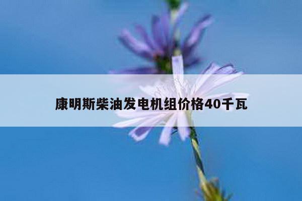 康明斯柴油发电机组价格40千瓦