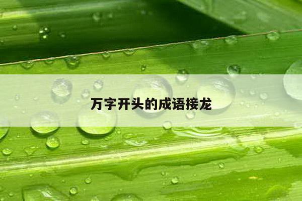 万字开头的成语接龙