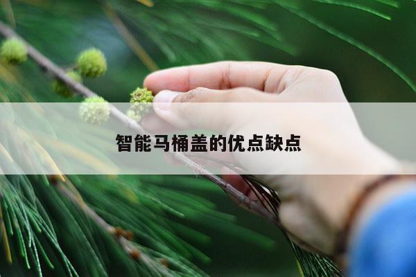 智能马桶盖的优点缺点