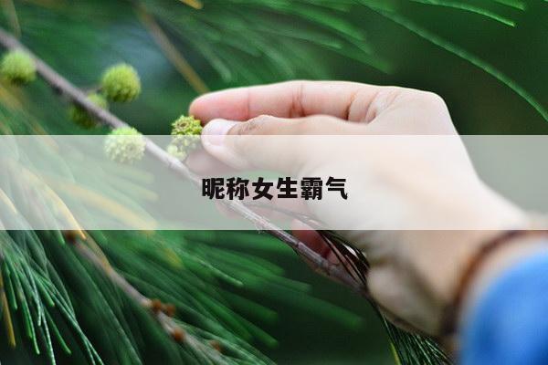 昵称女生霸气