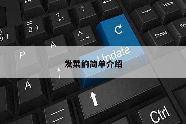 发菜的简单介绍