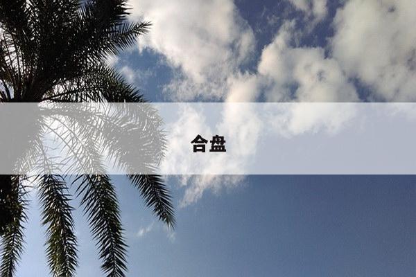 合盘