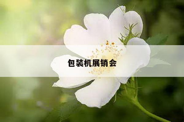 包装机展销会