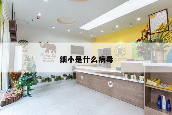 细小是什么病毒
