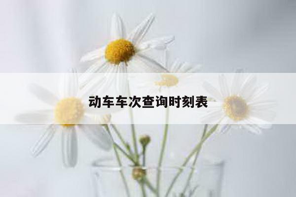 动车车次查询时刻表