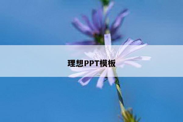 理想PPT模板