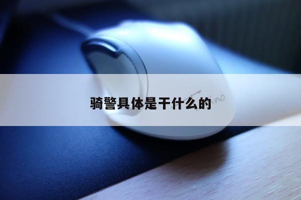 骑警具体是干什么的