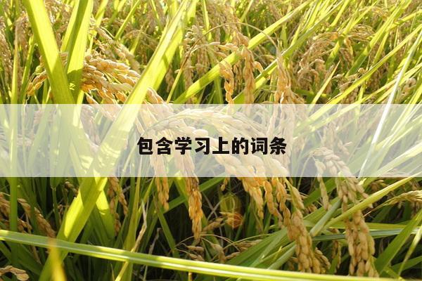 包含学习上的词条