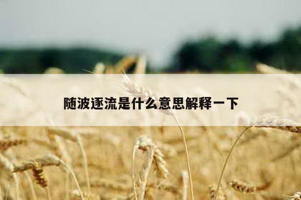 随波逐流是什么意思解释一下