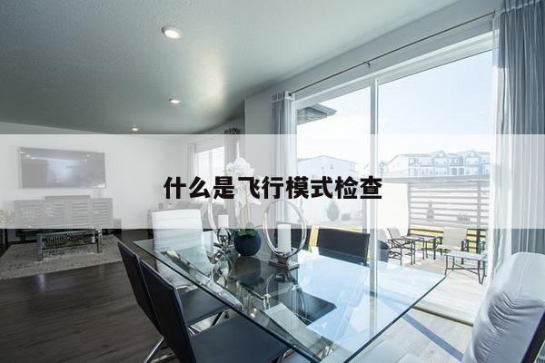 什么是飞行模式检查