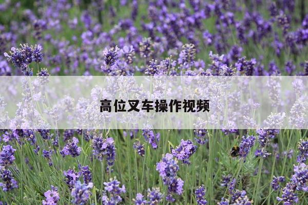 高位叉车操作视频