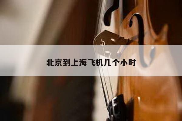北京到上海飞机几个小时
