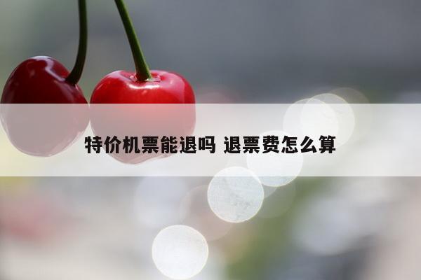特价机票能退吗 退票费怎么算
