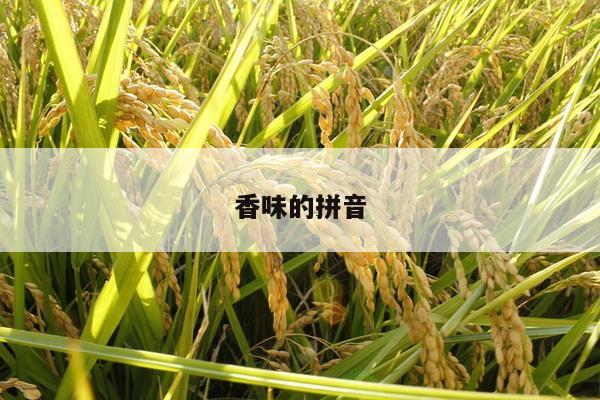 香味的拼音
