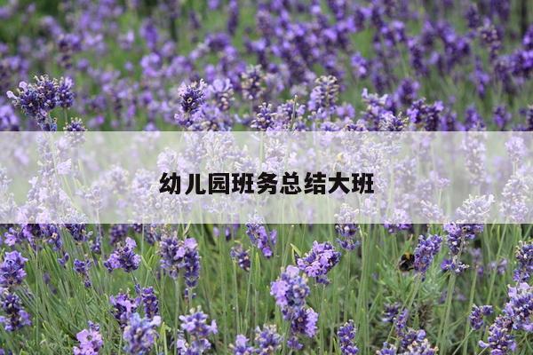 幼儿园班务总结大班