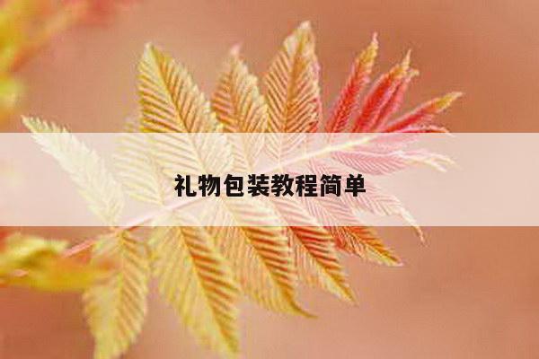 礼物包装教程简单