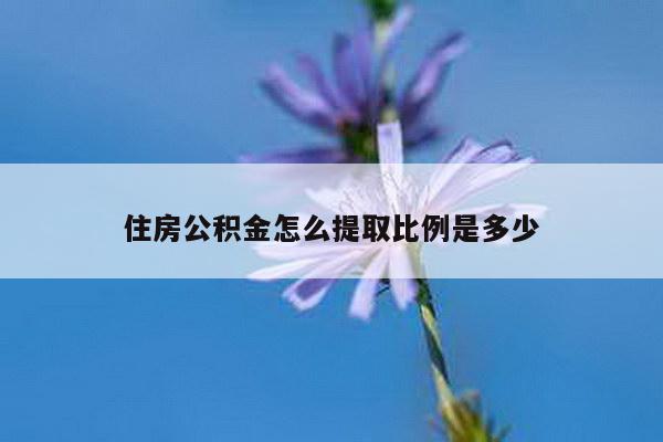 住房公积金怎么提取比例是多少