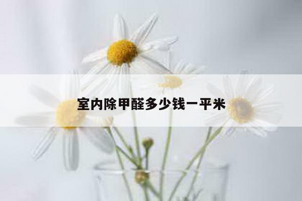 室内除甲醛多少钱一平米