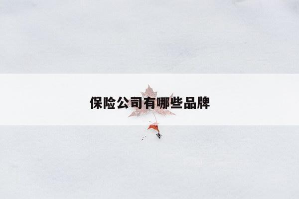 保险公司有哪些品牌