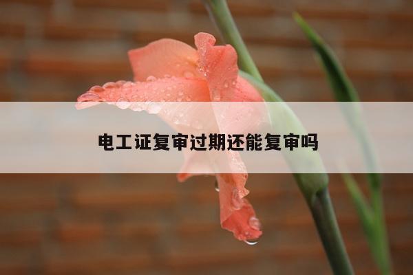 电工证复审过期还能复审吗