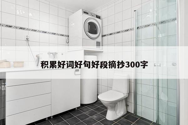 积累好词好句好段摘抄300字